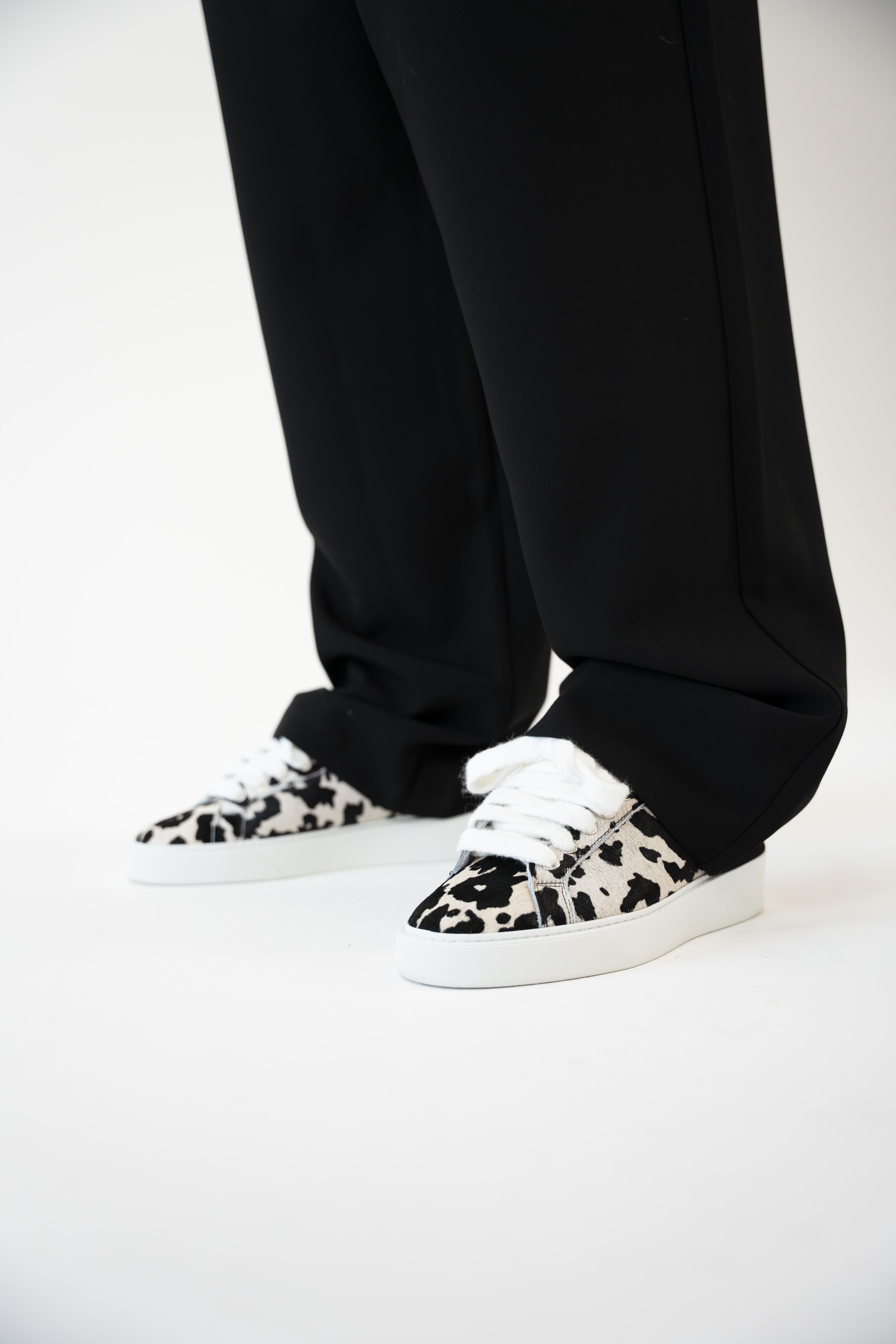 Signet - Dalmatien